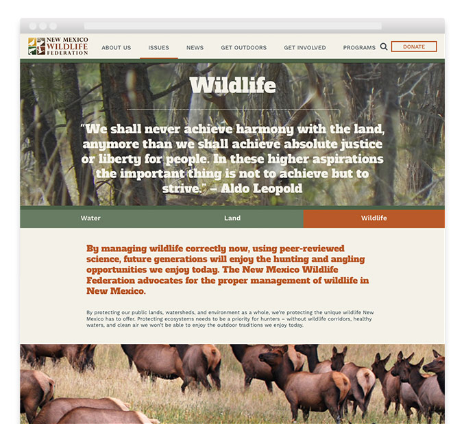 New Mexico Wildlife Federation Environmental Website Designer 5293