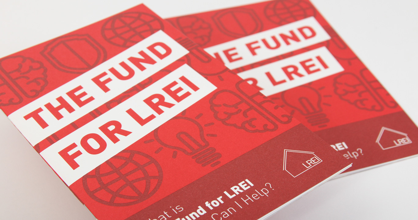 Annual fund brochure and graphic design for LREI school