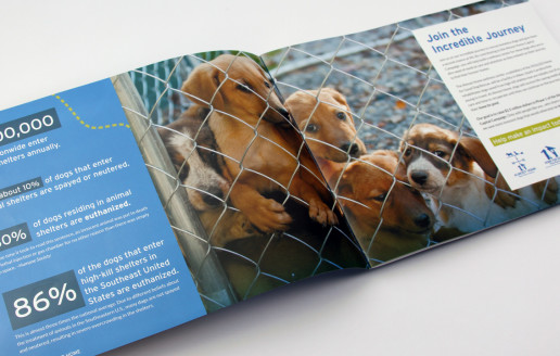 Brochure design for a dog rescue not for profit capital campaign, interior spread.