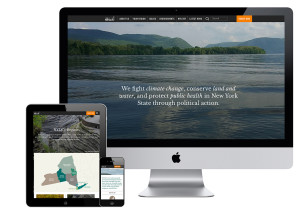 Environmental Website Design New York League Conservation Voters