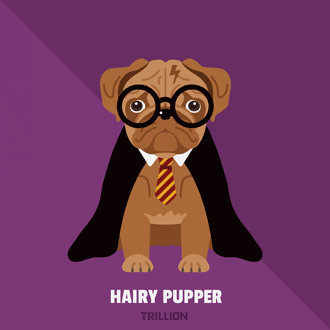 pugs in halloween costumes illustration pugs puns animation harry potter hairy pupper