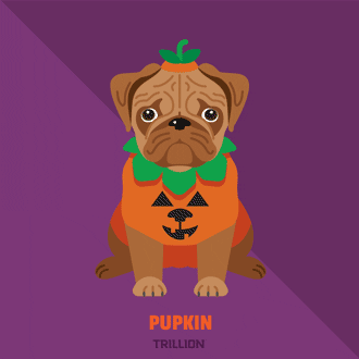 pugs in halloween costumes illustration pugs puns animation pupkin pumpkin jack-o-lantern 