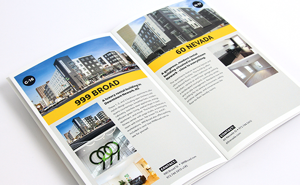 Special Improvement District Brochure Design – Newark Downtown District