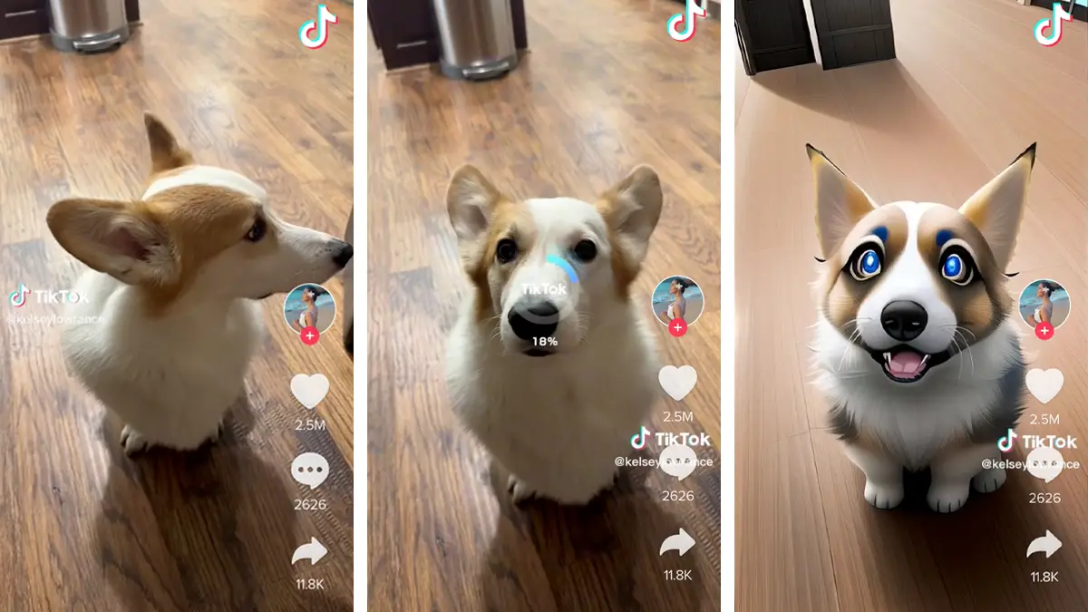 The marketing QR code is a step toward AR. Three screens showing a Tik Tok filter turn a corgi into an anime character. Credit: @kelseylowrance
