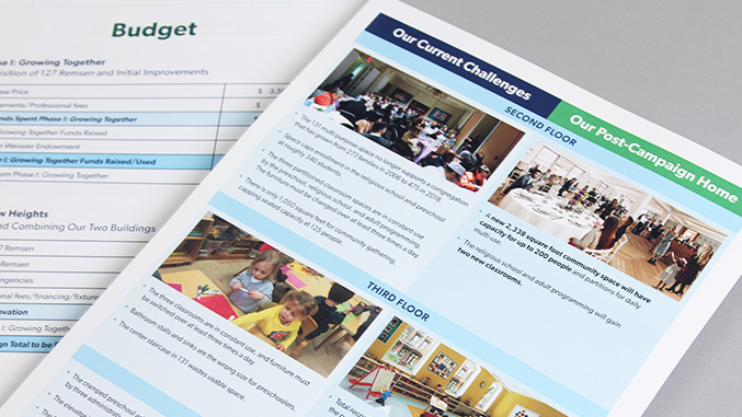 Case for Support Brochure Design Budget