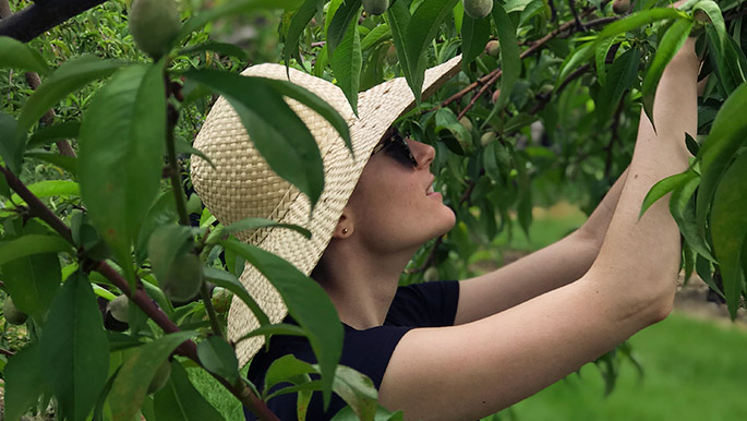 Not-for-Profit Grow-a-Row NJ Volunteer Jess