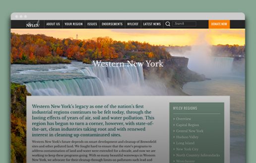 environmental website design NY