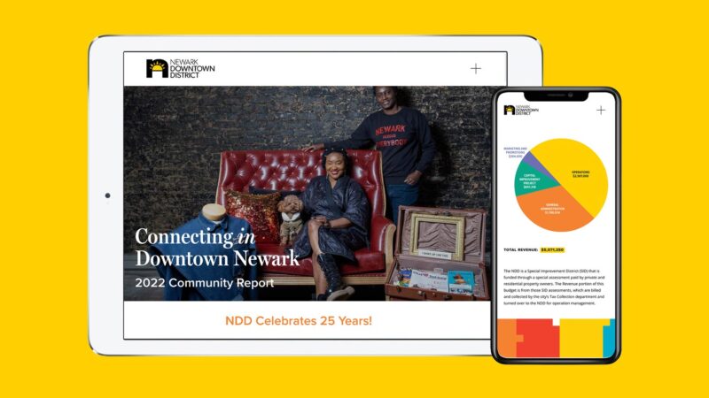 NDD annual report microsite