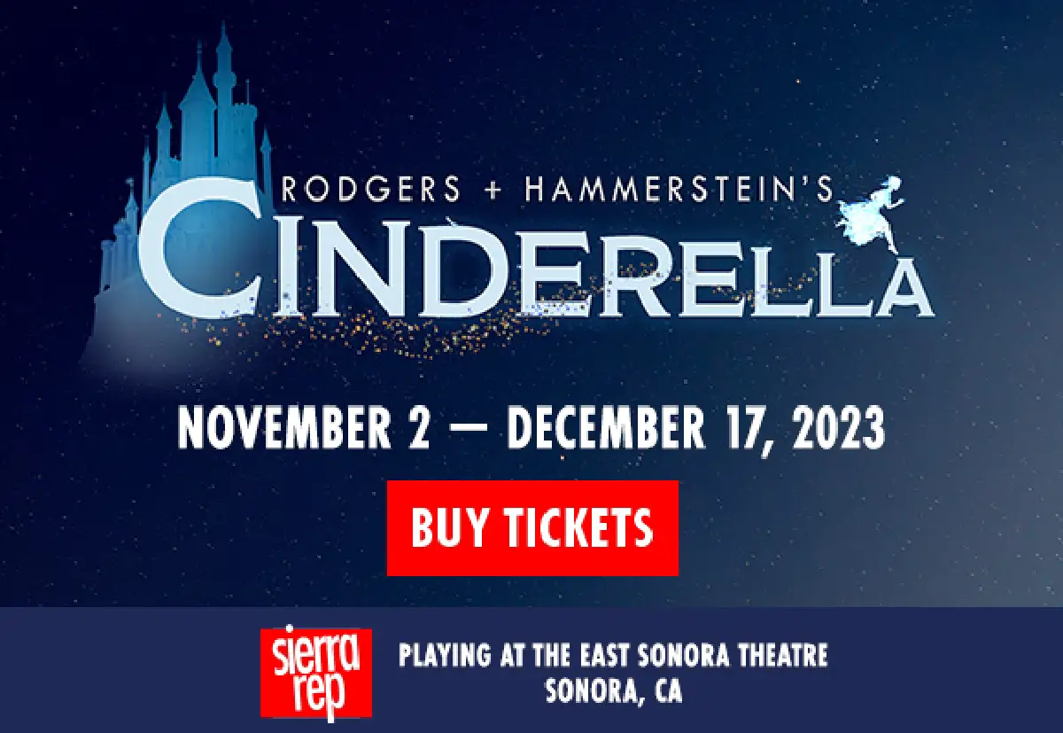 Sierra Rep digital advertising for Cinderella