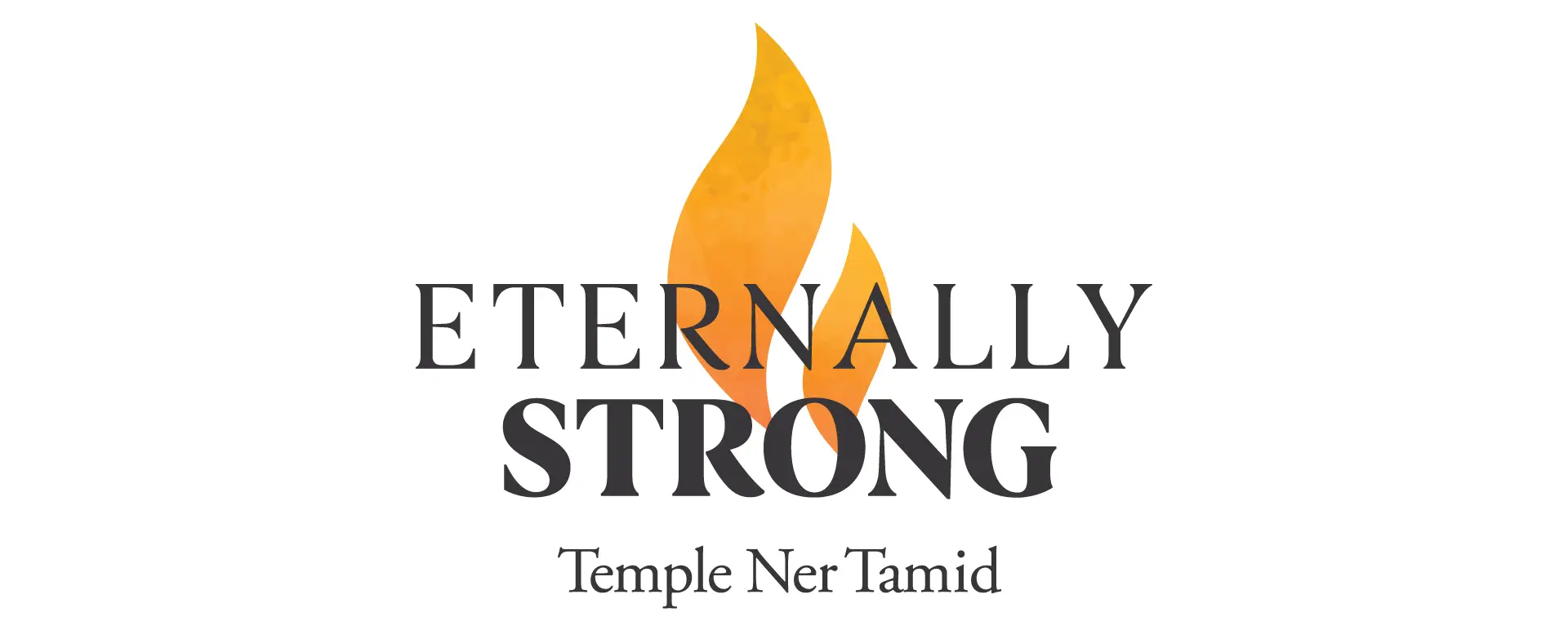 Temple Ner Tamid Case for Support campaign logo