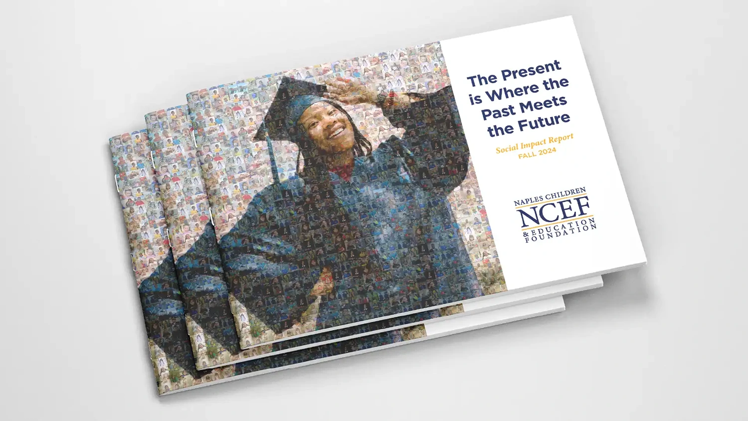 Annual Report Design and Fundraising Collateral